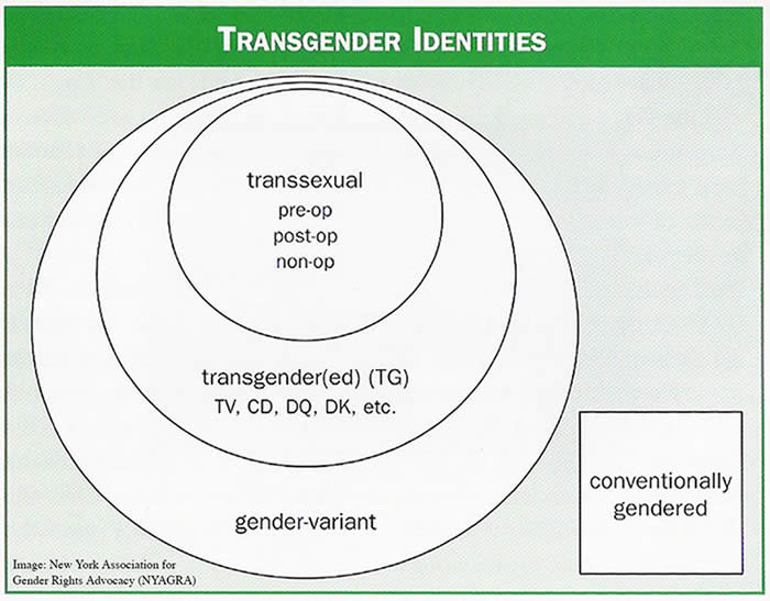 Transgender 101