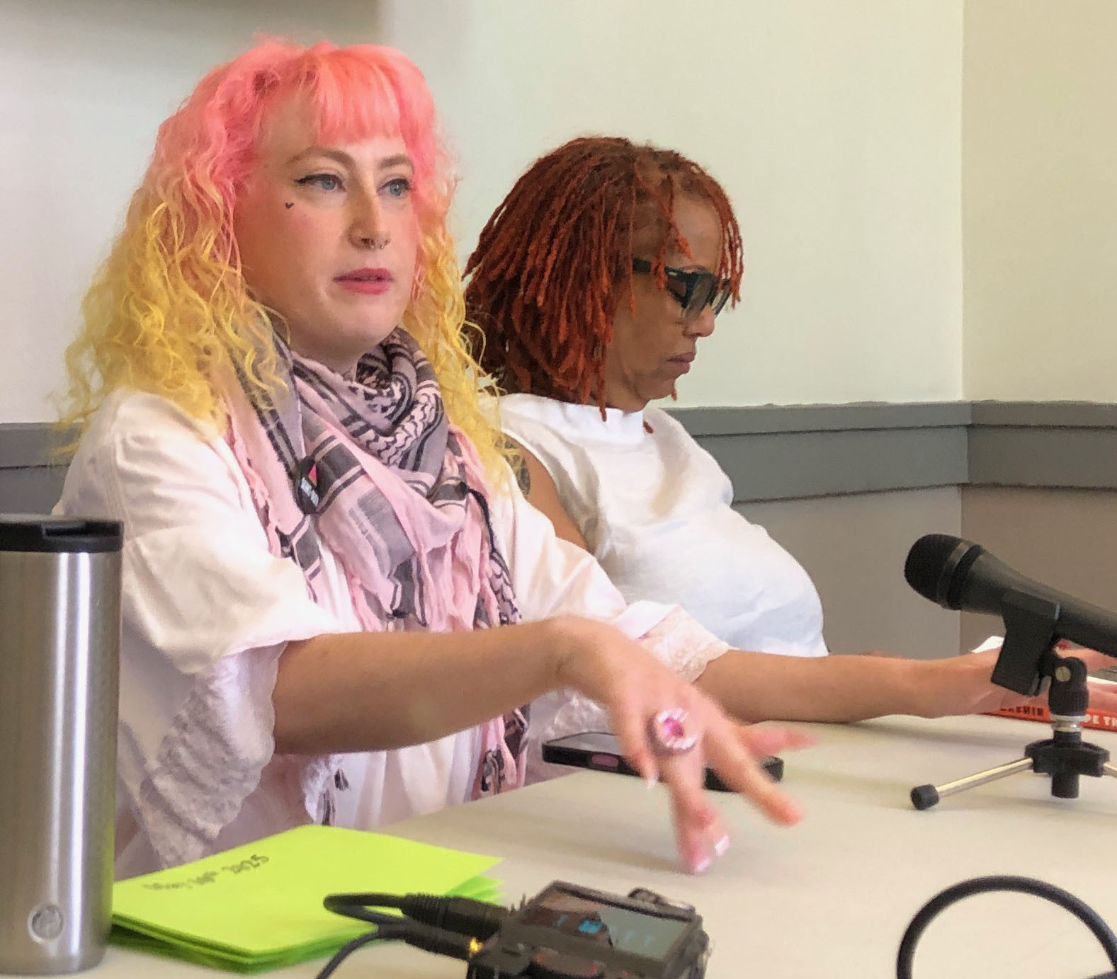 Ariel Friedlander - Artist & Activist