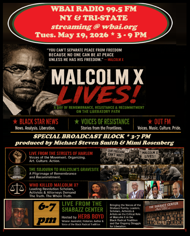 Malcolm X Special Poster Malcolm X Special Poster